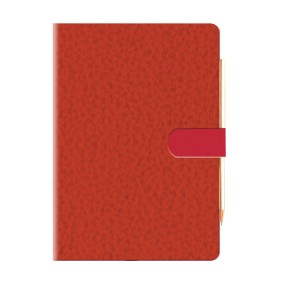 Agenda Giornaliera Cangini Filippi Space Rossa