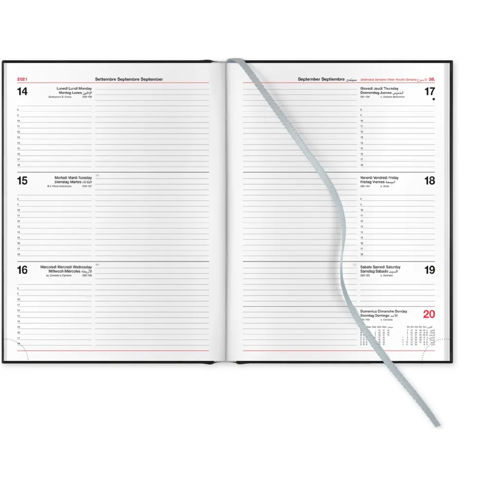 Agenda settimanale Wall colore Blu Cangini Filippi