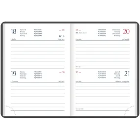 Agenda bigiornaliera...